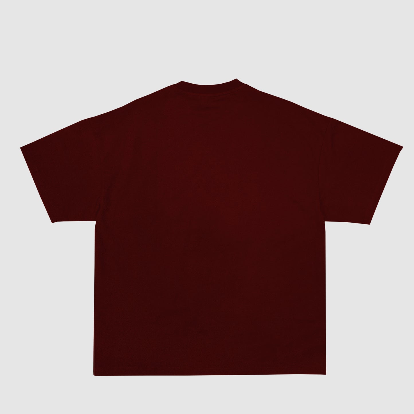 LOGO LIT - Maroon (3/4)